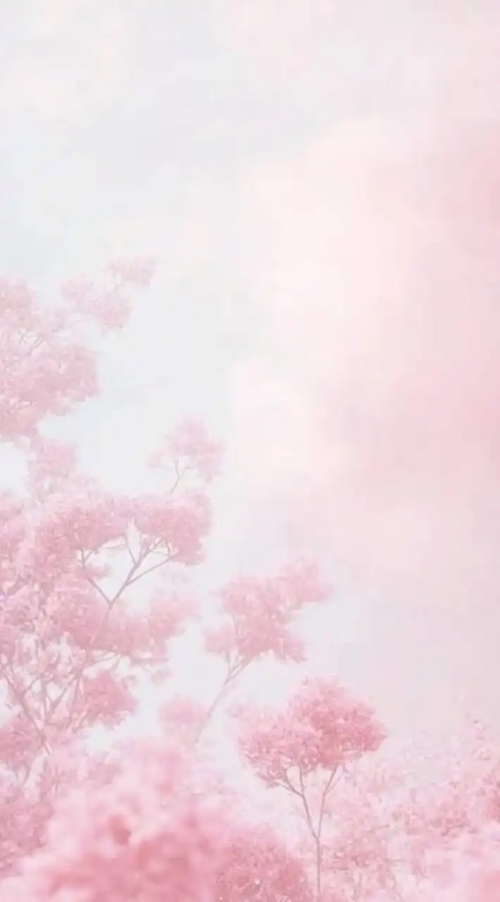 生活音学園