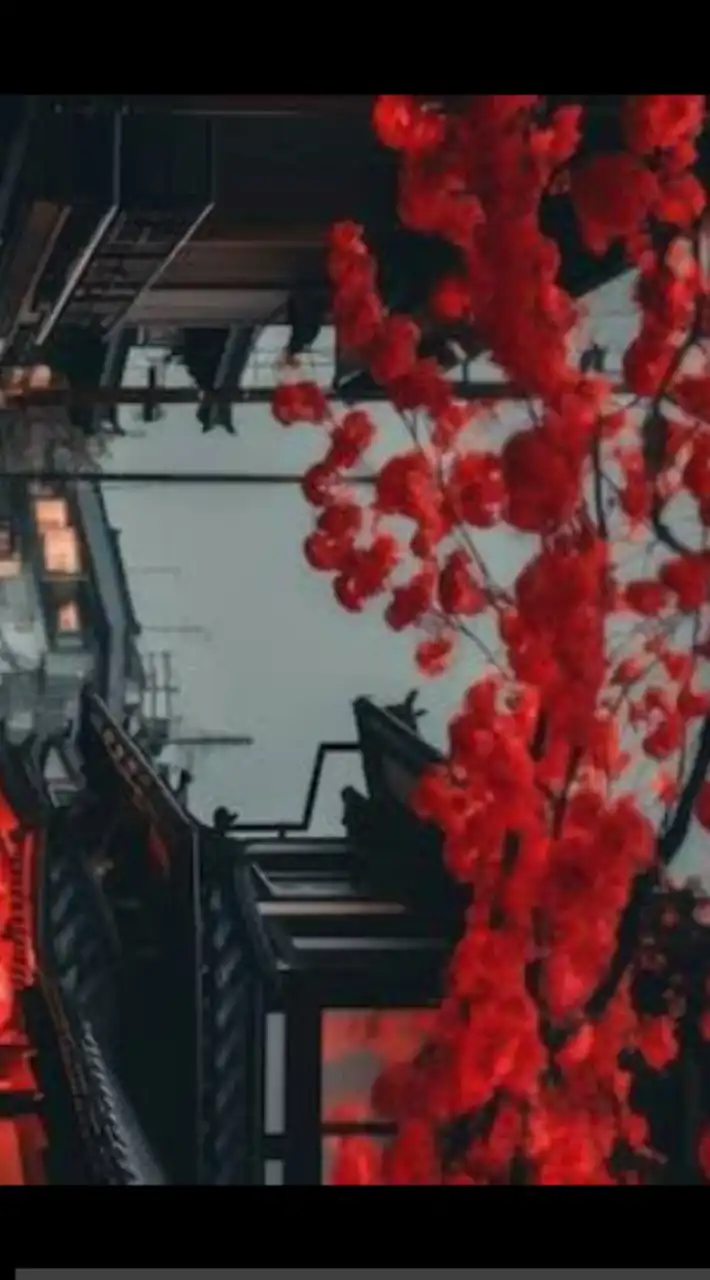 ✿ポケモンなりきり!ツバキ地方︵✿