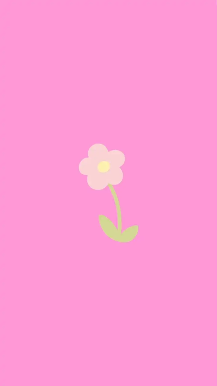 【30】はなキャリ