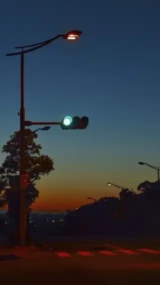とりブラザーズ
