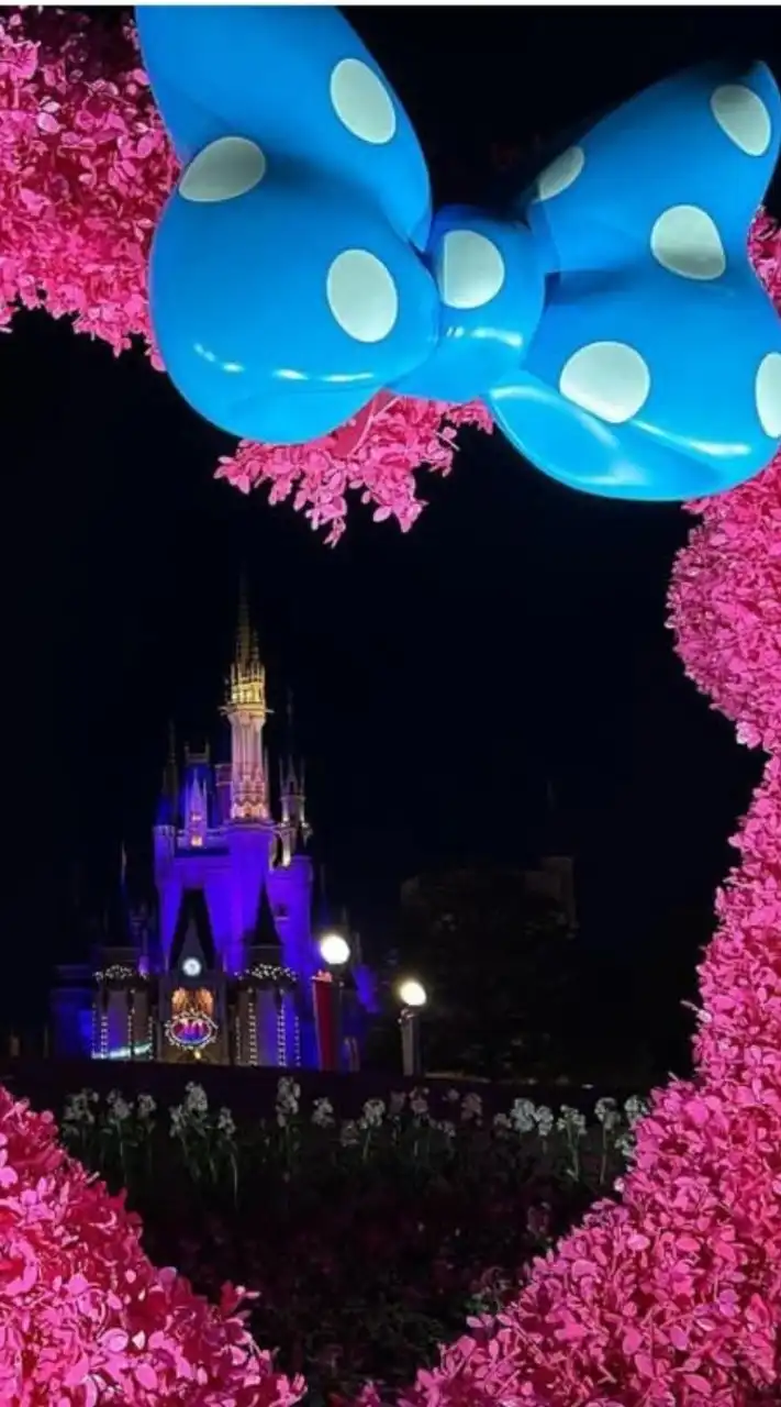 気軽にディズニーインパ（オトナディズニー）