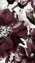 鬼滅    也    .     ヾ