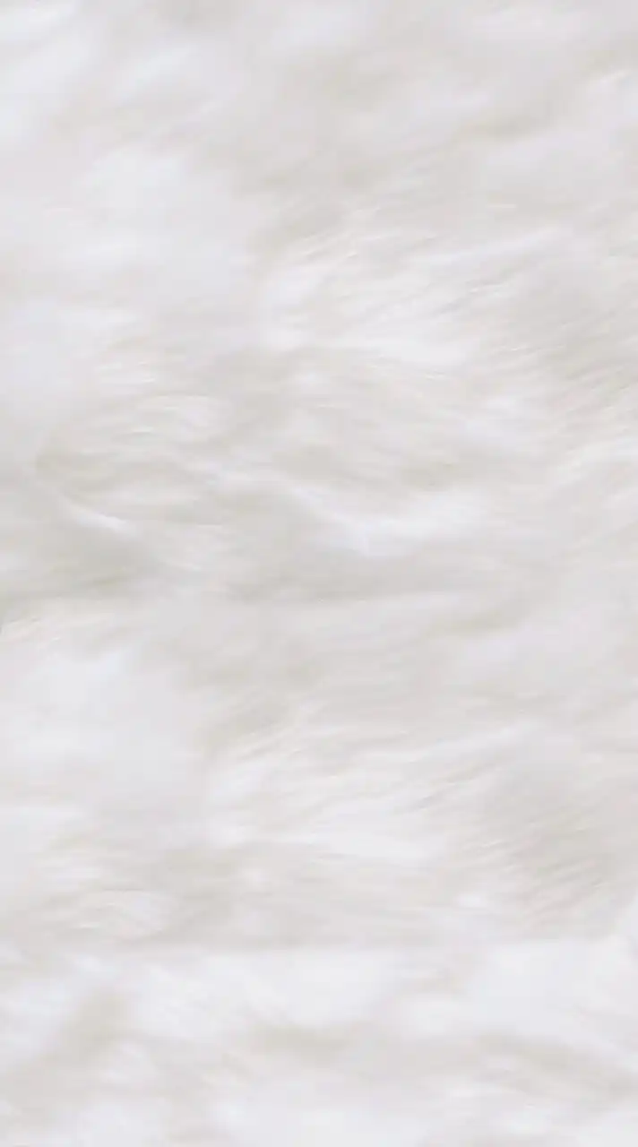🎀顔採点🎀