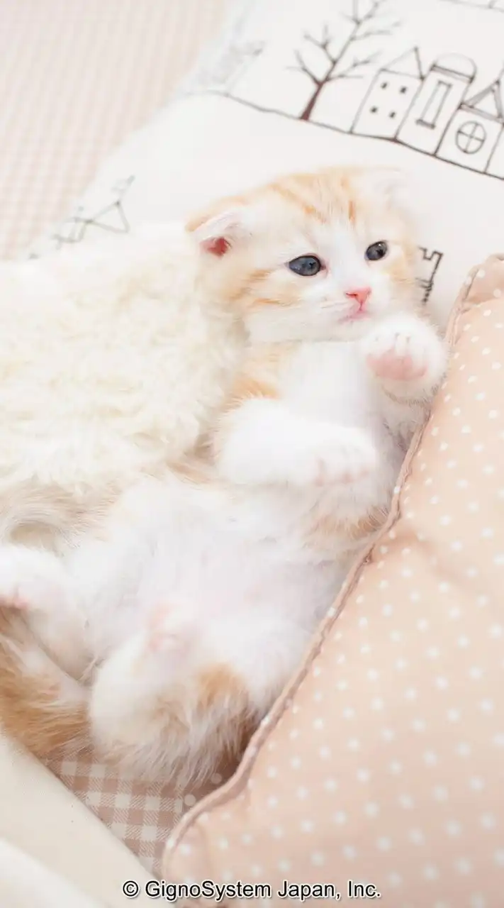 💍大人の雑談💍恋花～その先へ💘