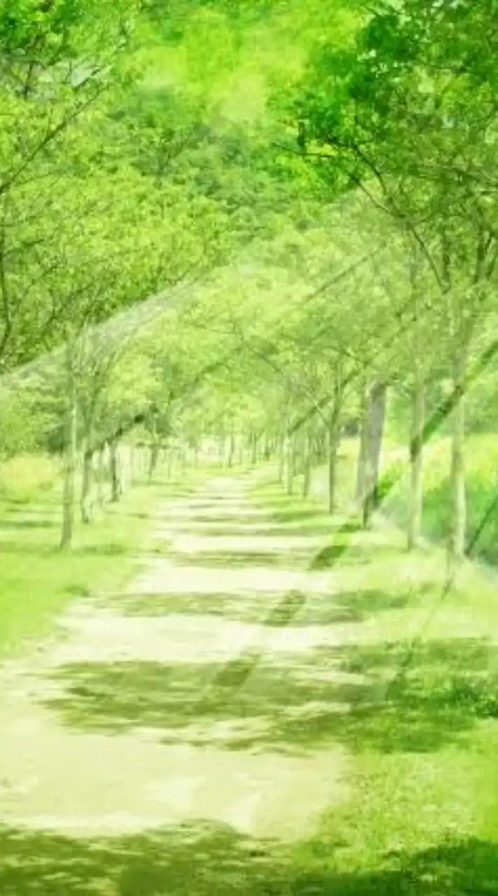 🌳50代・60代✨時々ドキドキ脇道✨🌳