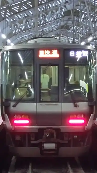 愉快なあきさんの弟のくーてんの頭の庭園のオープンチャットのウインスターの仲間