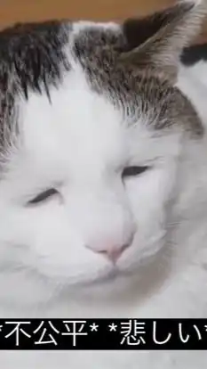 本命作っちゃおうYOH ❣️ 全緩ハント的なテキーラ ⁉️笑