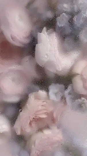 ◤◢◤ 𝑴𝑨𝑭𝑰𝑨  - 𝑜𝑟𝑖𝑔𝑖𝑛𝑎𝑙 - ◢◤◢　（オリキャラ,折也）