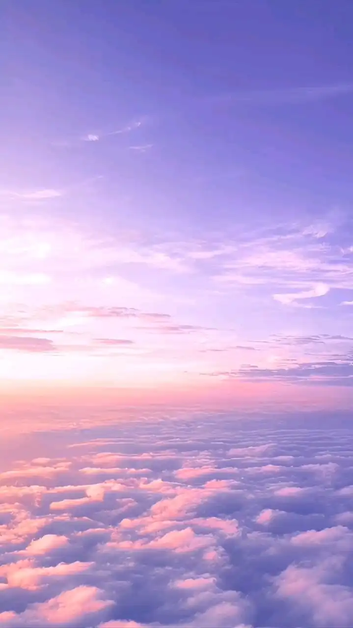 芸  能  人   n r k r  𓂃 𓈒𓏸໒꒱