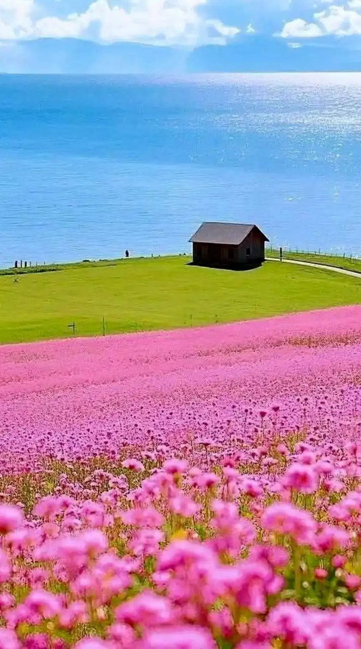 🌈🍋良いね~昭和の素敵な想い出🌠話そう恋🌻花も🍋同世代60代以上🌈