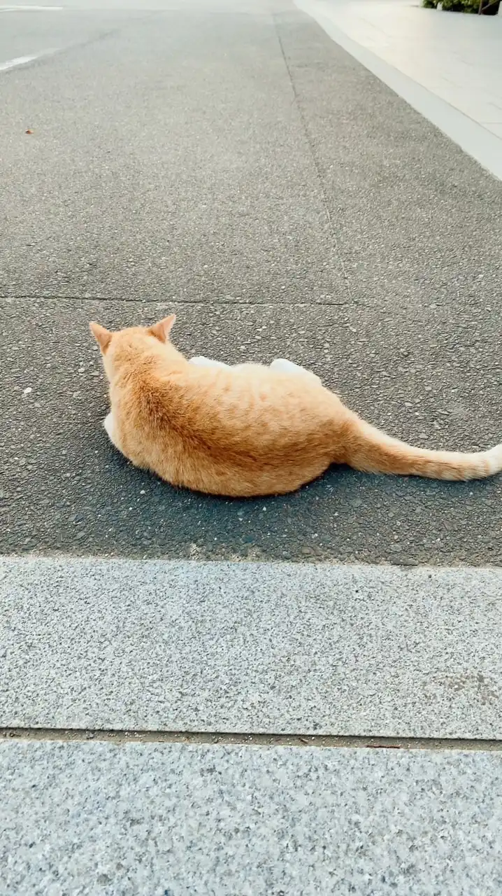 ミラクルメンタルヘルス講習会inレイビレッジ