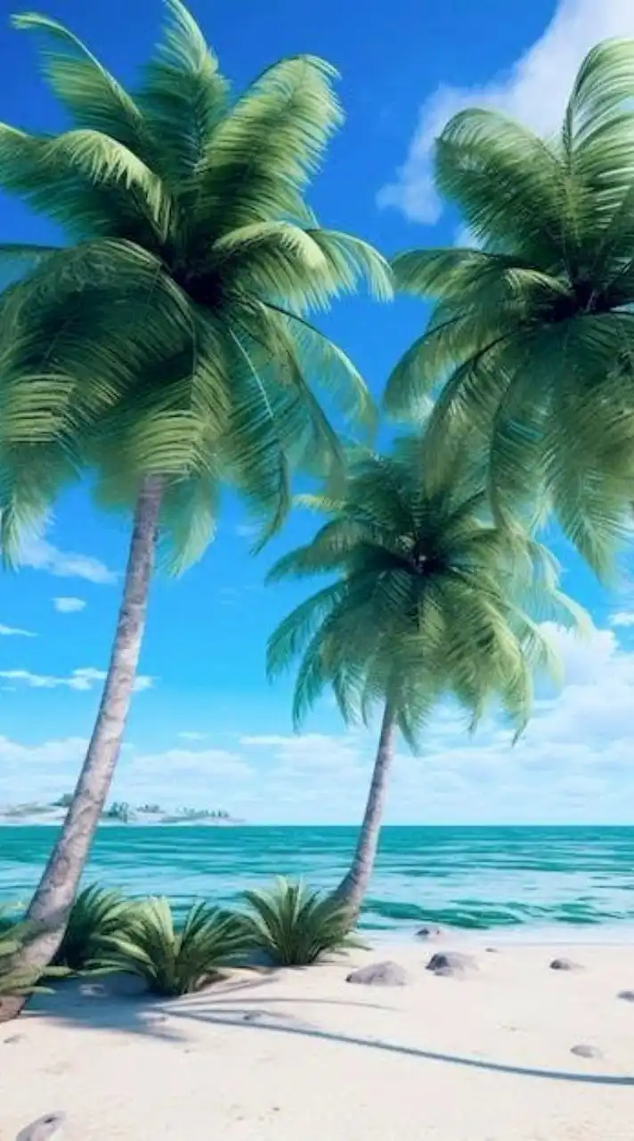 🆕🌿憩いの雑談🌿大人の恋バナ癒しルーム＆ライブトーク💞