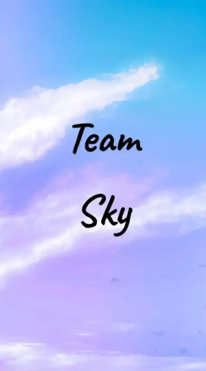 Team sky　（即抜けはダメ）