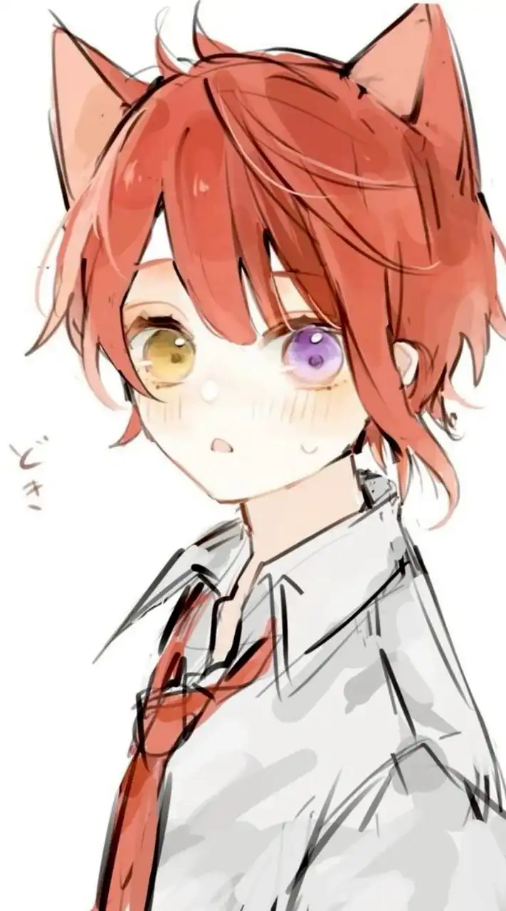 歌い手  緩也ハン ‼️