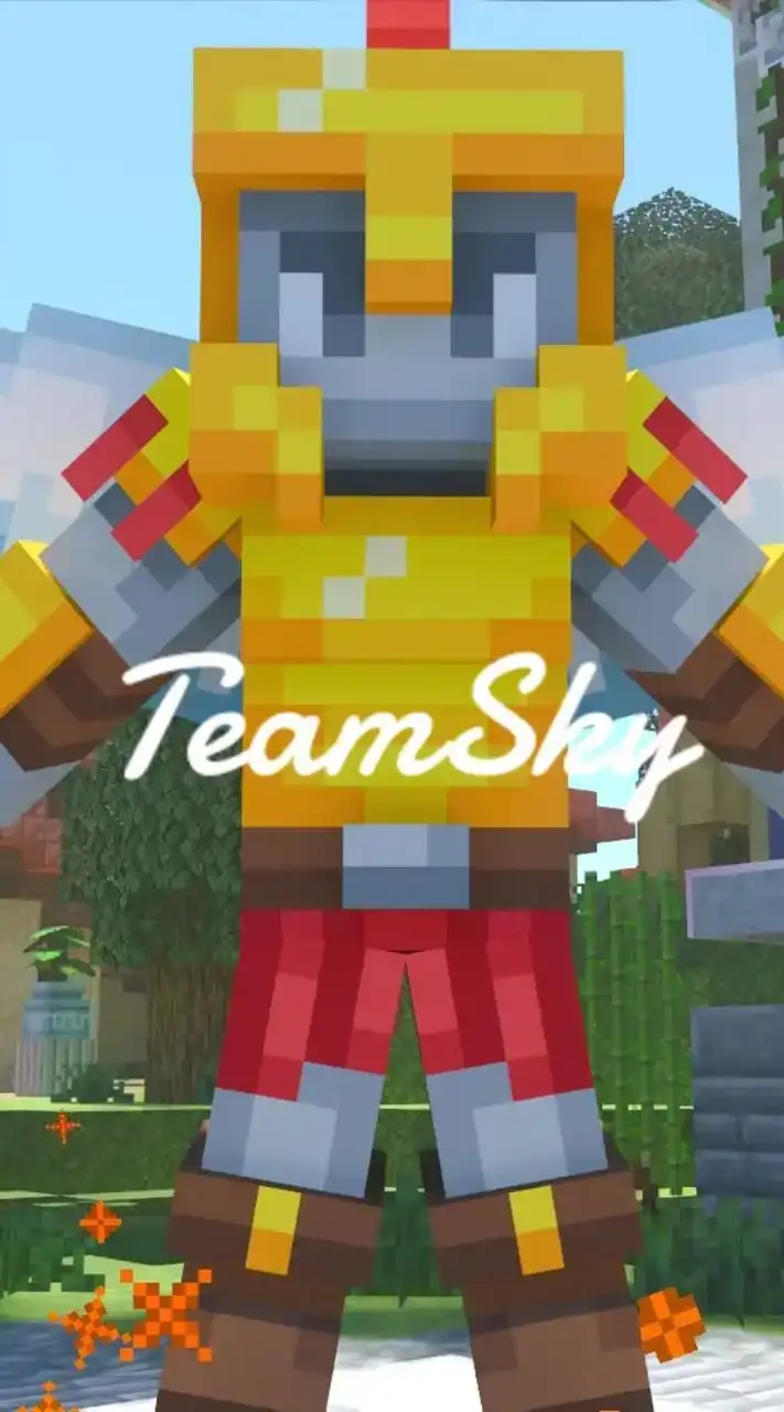 Team sky wars　（HIVE）