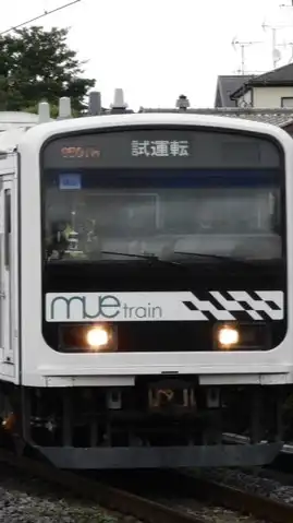 スジ公開