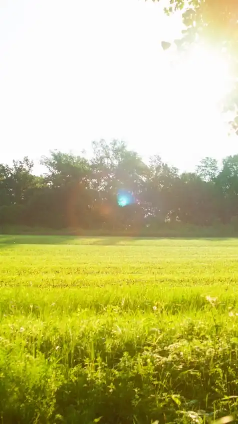 インスタがもっと好きになる朝活☀️