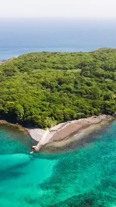 無人島に流れ着いた全也達