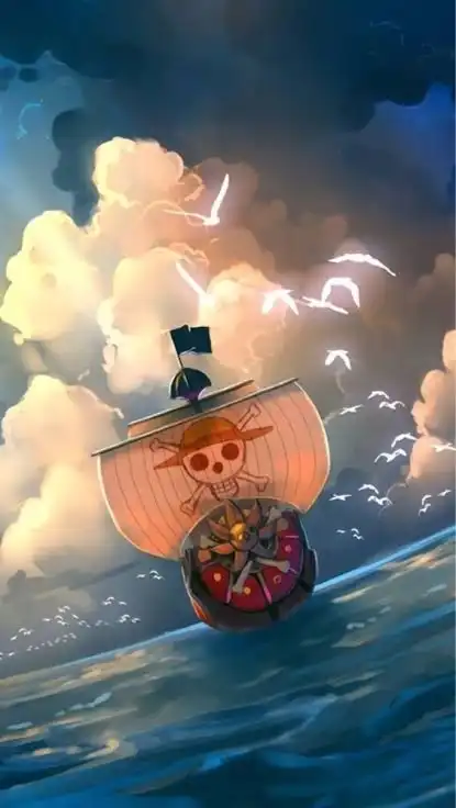 ONE PIECE 也‼️