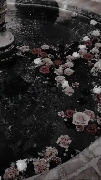 朝まで踊る夢だけ見せて：全也ハント