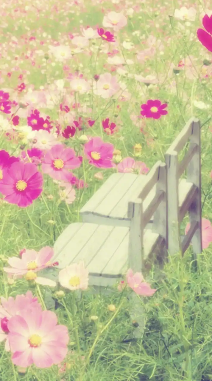🌹昭和世代の大人の雑談Room🌹