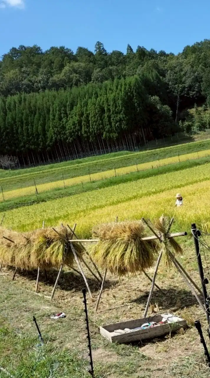 京都奈良ゆうこくチャット