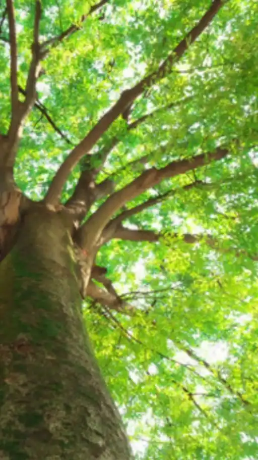 50代～70代シニア世代のしゃべくりの森🌳🍃とカラオケ館⛸️