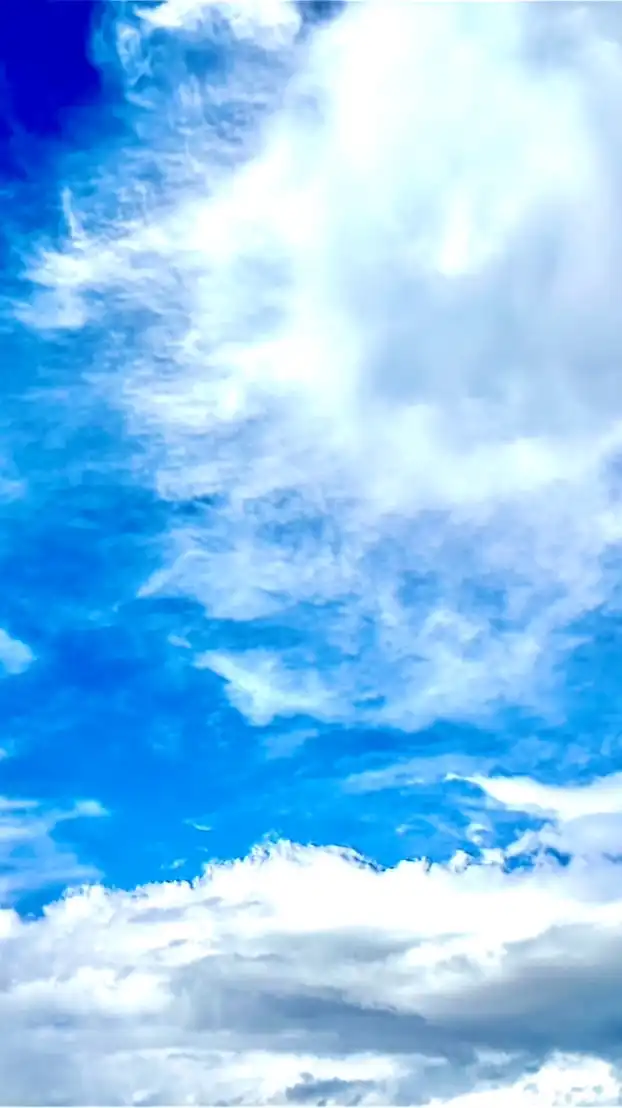 カーパーキングコイン車依頼○痛車バイナル研究