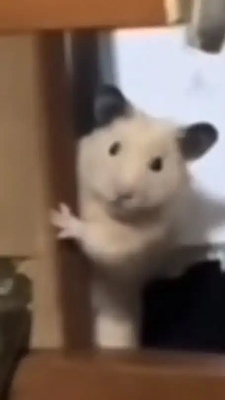 全全全緩也‼️‼️⁉️✨💖😘過疎絶対駄目‼️‼️‼️😭😭💦✨