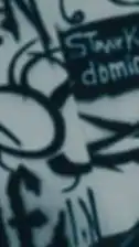 skz 也