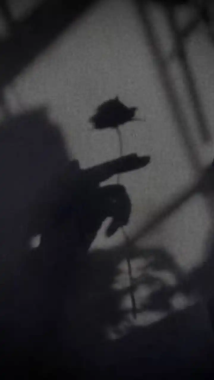K也