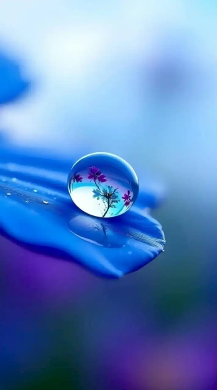 🪻【九州女性限定ℝ𝕠𝕠𝕞 】🪻     🩷40代50代60代🩷