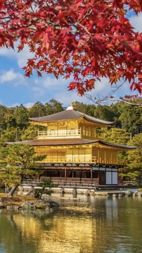 🌸近畿・全国グルメ🌸雑談
