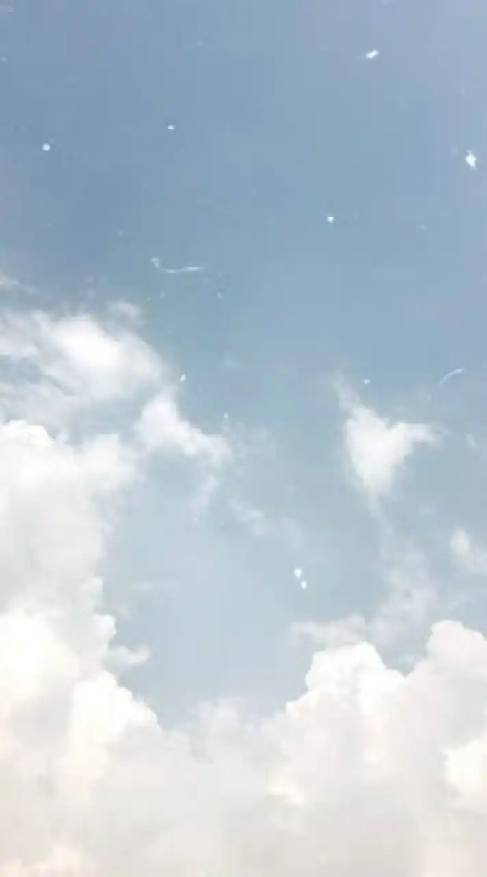 𝐟𝐨𝐫𝐞𝐯𝐞𝐫