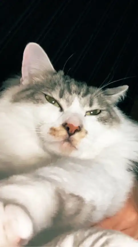 部屋の掃除一緒にがんばろ