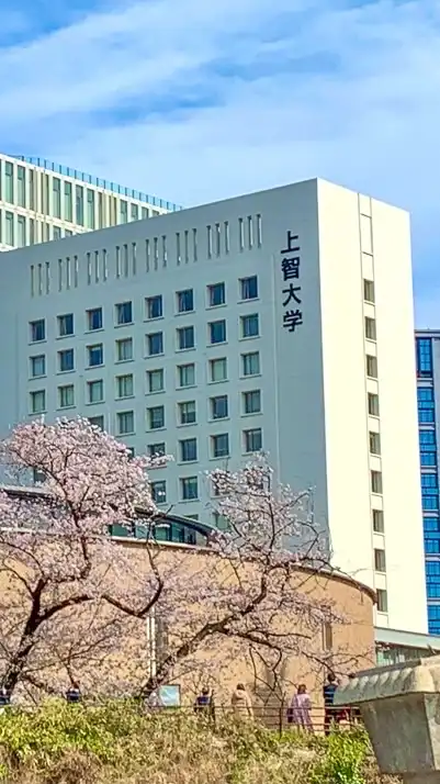 TEAP徹底攻略