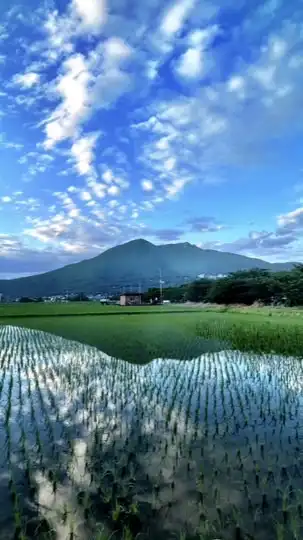 Runtrip in つくばマラソン2025