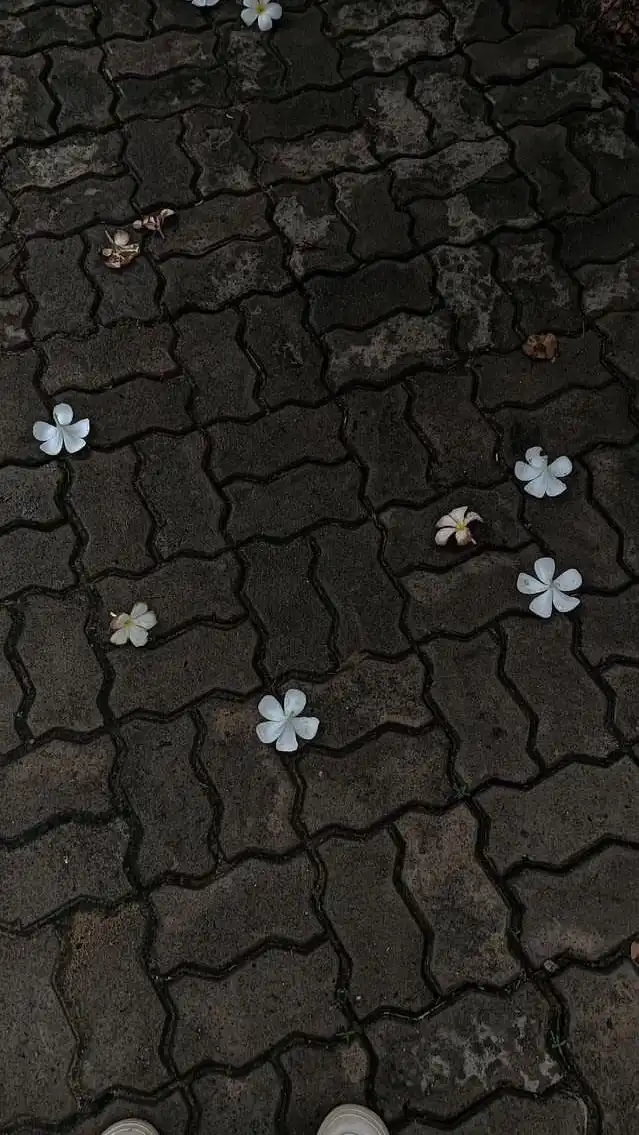 芸能人 なりきり