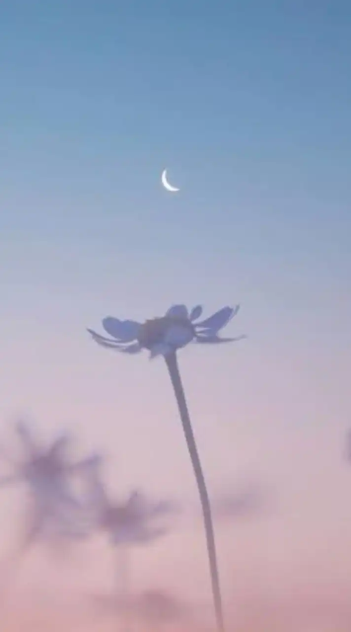 〖  HQ  〗  固 定 カ プ  ✧*。