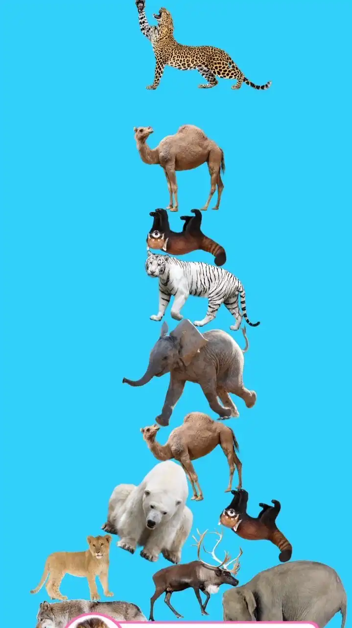 お前の一番になりたい‼️全緩也ハント