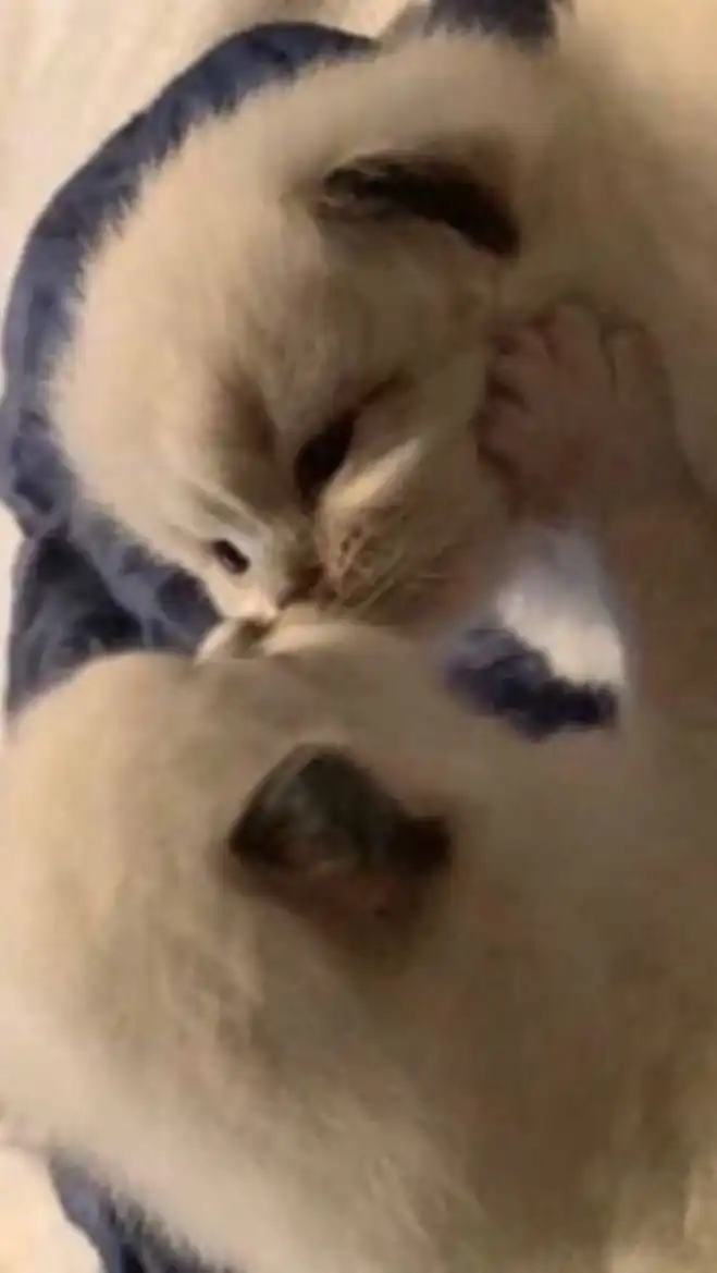 そろそろリア充なるしかないよね🤭雑談・ライトもしてるよ❣️