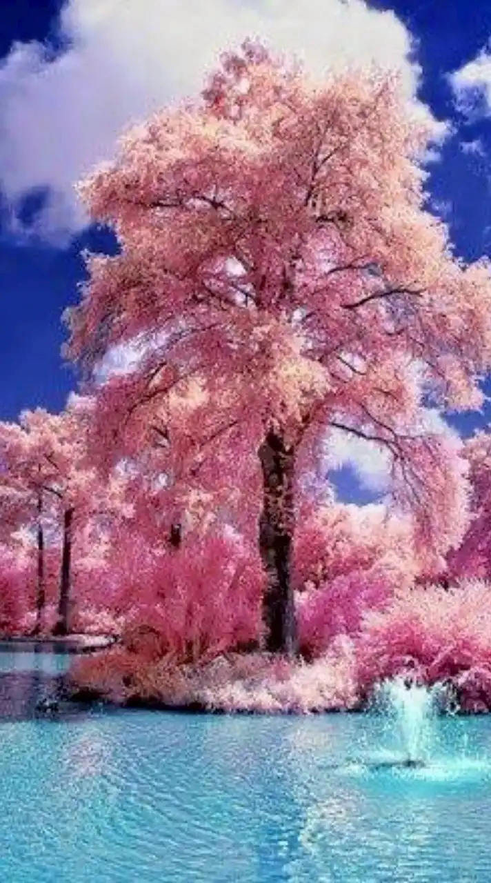 大人の雑談❤︎恋バナ❤︎ライブトーク❤︎恋愛