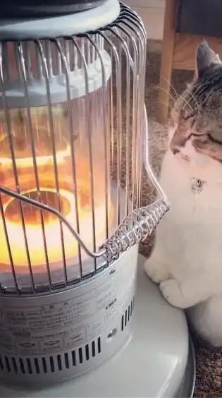 気ままに独り言