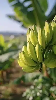 🍌東海🏠地域R∞M🍌30代 40代 50代🍌楽しい雑談🍌ライブトーク🍌素敵なオフ会🍌