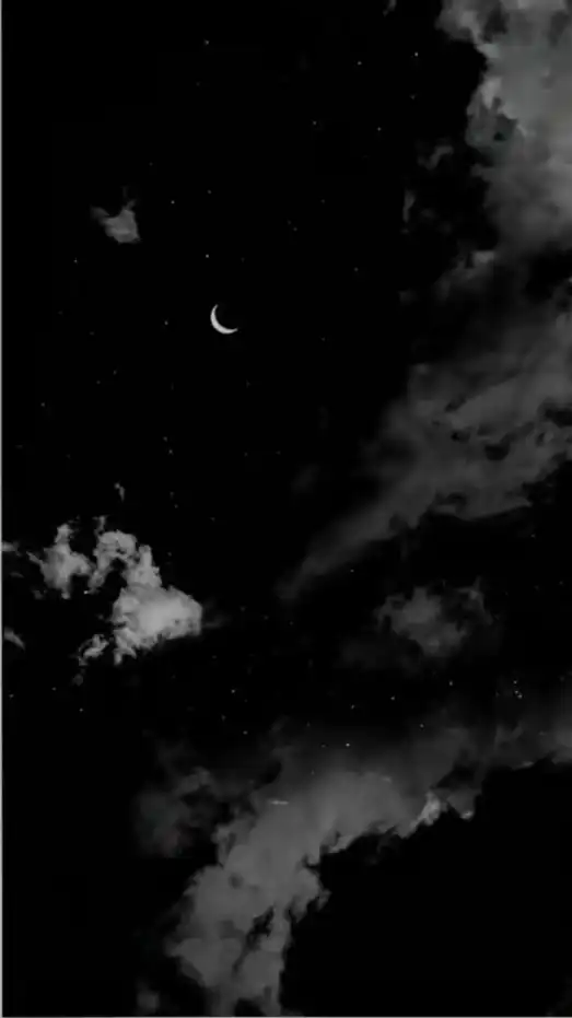 ”” love you forever ””