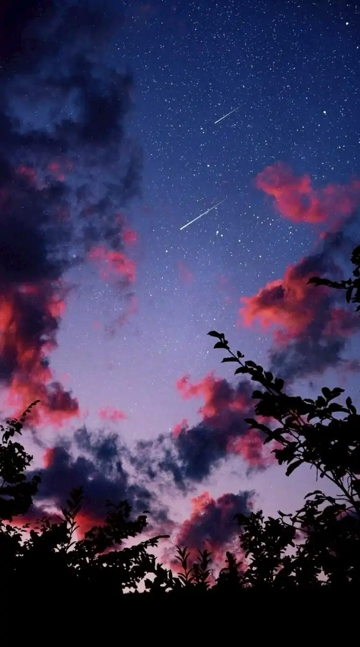 全緩也＿＿＿＿＿エレメント🪄ꕀ