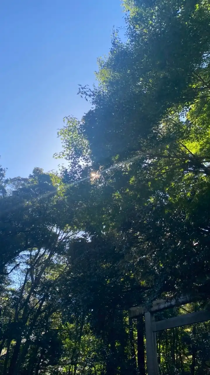 自由塾メンタルノイズオープンカウンセリング