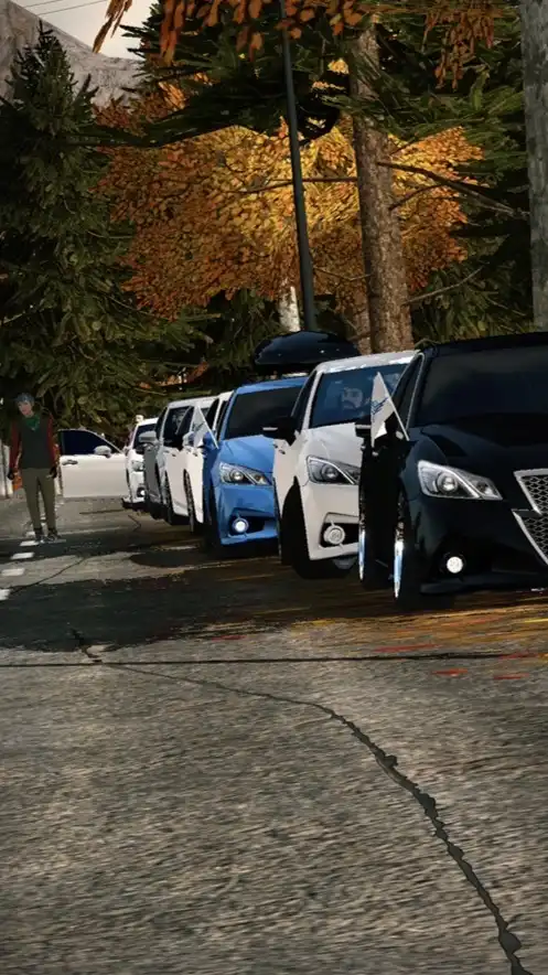 [カーパーキング系]名前ないオプ