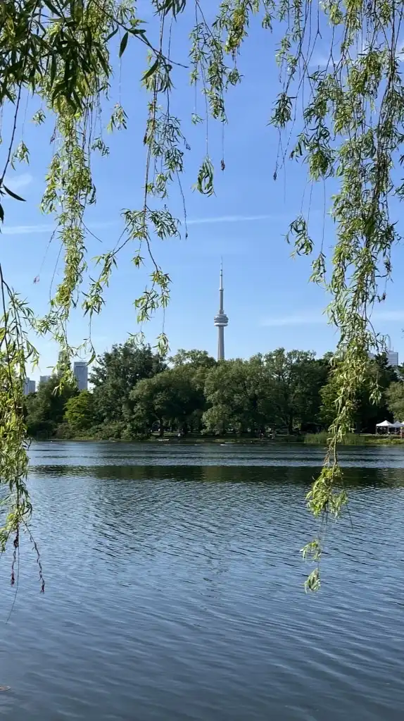 🇨🇦トロントワーホリ・留学挑戦🐣ひよこクラブ