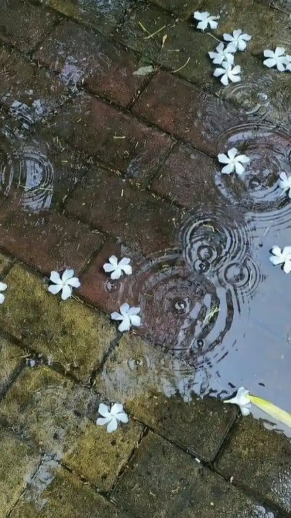 呼んでいいかな；全緩也